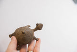 Hand-held vintage African tortoise sculpture, showing textured shell and earthy brown color.