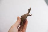 Close-up of vintage African tortoise sculpture, showing its distinctive head and aged texture.