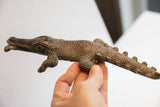 Hand-carved vintage alligator sculpture held to show its long, textured form.