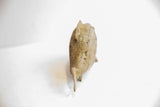 Top view of the vintage African fish sculpture highlighting its dorsal fin and textured surface.