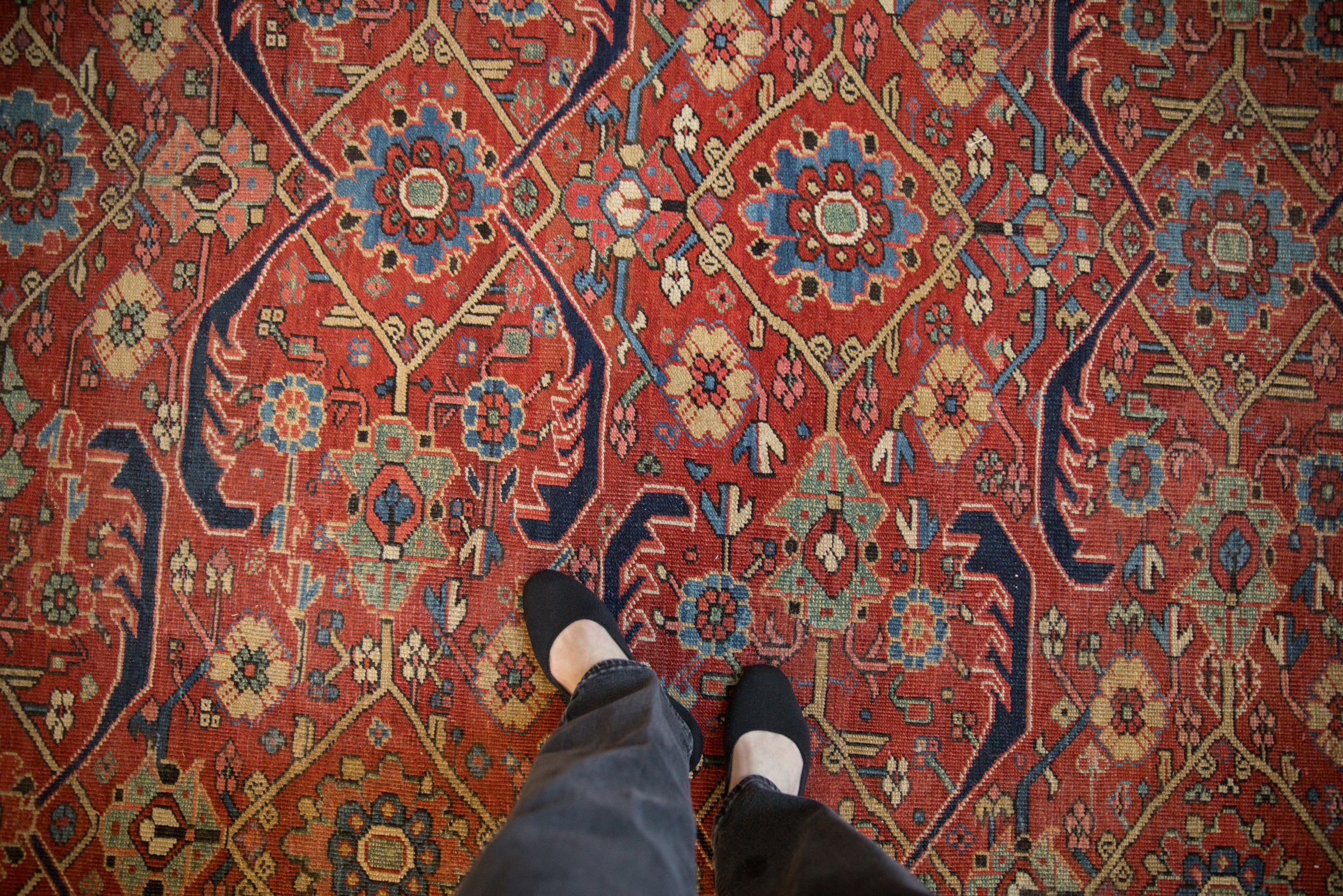 Stylized floral top views and serrated vines on the low, even pile of a vintage Heriz.