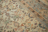 Antique Mahal rug's meandering vine field and turtle samovar border motifs.