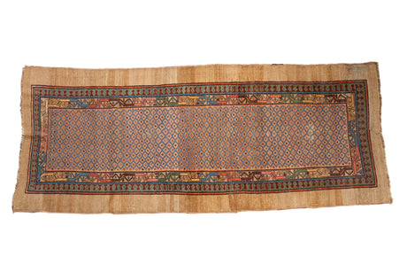 3.5x8.5 Antique Serab Rug Runner