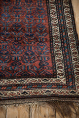 Corner detail of a vintage Kurd rug showing the ivory meandering vine border and short wool pile.