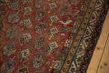 Germinating shrub and bird motifs on antique Qashqai rug field, alongside vine borders.