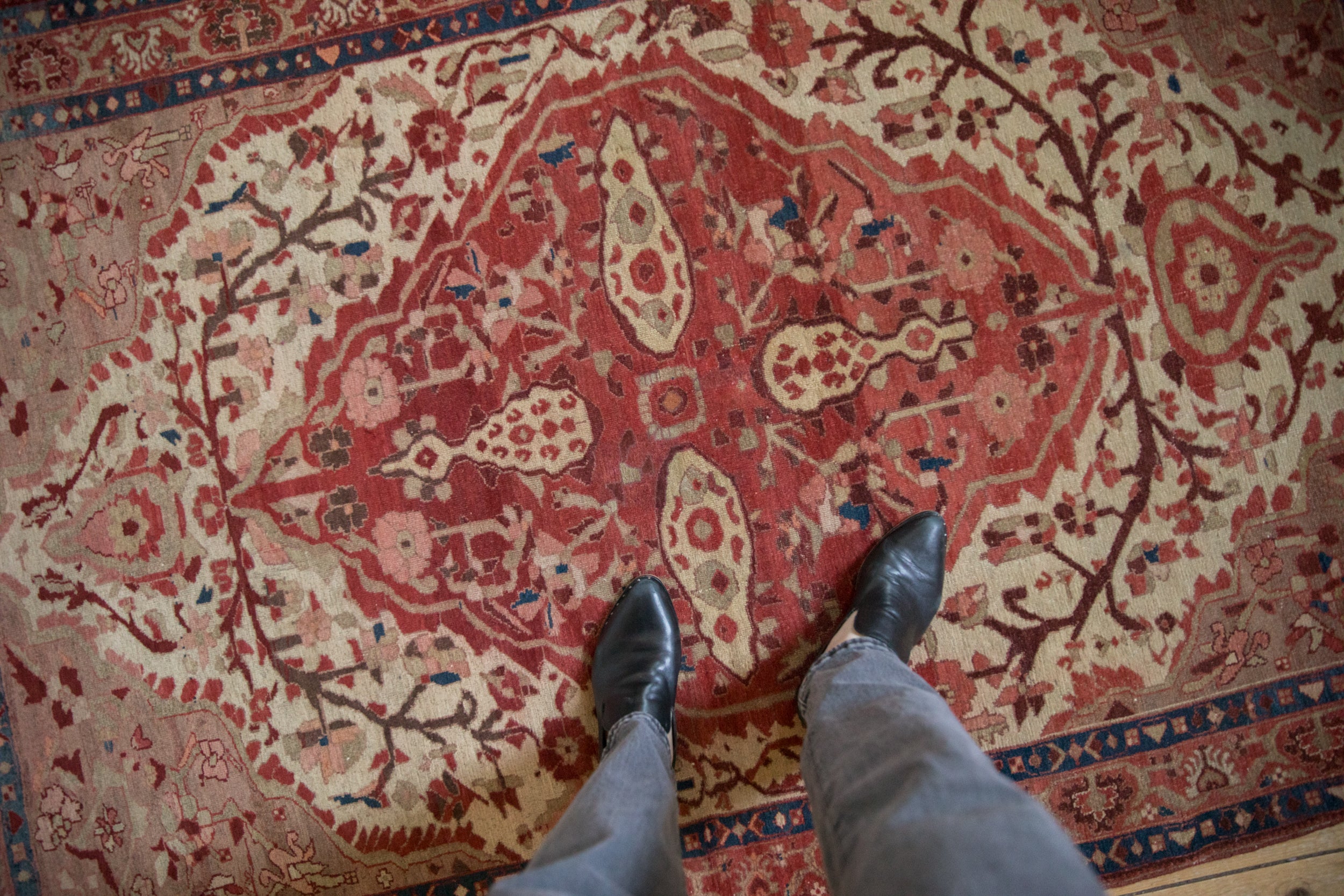 Antique Mishan Malayer rug's shield-like medallion, sprawling vines, and vivid ruby red tones.