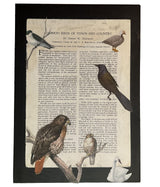 Original Lillian Shad 'Town and Country' art with collaged vintage bird ephemera, 8 by 12 inches.