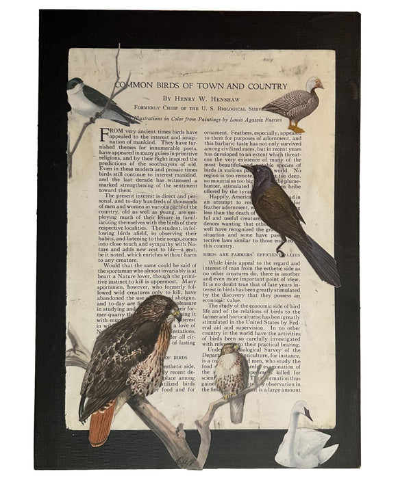 Original Lillian Shad 'Town and Country' art with collaged vintage bird ephemera, 8 by 12 inches.