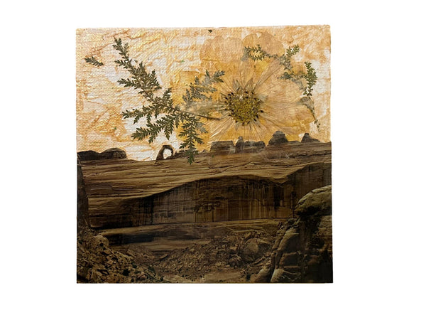 Lillian Shad "Desert Bloom" mixed media art, dried botanicals over textured gold and rugged desert.