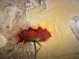 Lillian Shad 