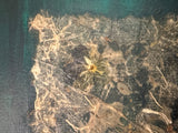 Textured close-up of Lillian Shad art featuring dried botanical, handcrafted paper, and deep teal paint.
