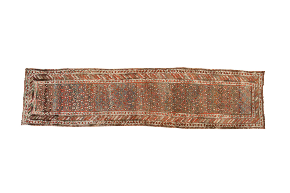 Distressed antique Kurdish runner with germinating plants, pomegranate, diagonal borders, rust and teal.