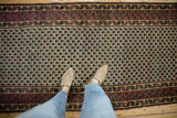 Vintage Afghani rug runner with ivory lattice floral field and geometric red and teal borders.