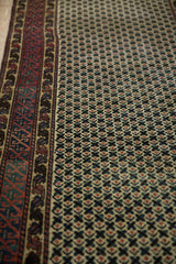 Geometric field pattern and stylized red, teal border on the vintage Afghani runner.
