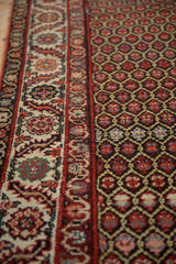 Intricate red lattice trellis field and antique ivory floral border on a vintage Malayer runner.