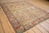 Low angle view highlighting the red arabesque border of a vintage panelled Baktiari rug.