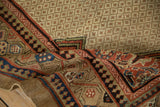 Striated colors in the reciprocating pawn motif border of a hand-knotted antique Serab runner.