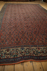 Vintage Bijar carpet border with germinating plant motif on dusty pale beige, brick red Herati field, overwrap selvage.