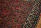 Persian Bijar carpet's germinating plant border on dusty pale beige, meeting Herati field.