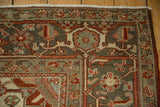 The main border's interconnected vine and turtle design on a hand-knotted Heriz carpet.