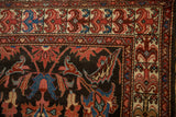 Germinating plant motif border next to scrolled vines on the dark charcoal field of a Malayer runner.