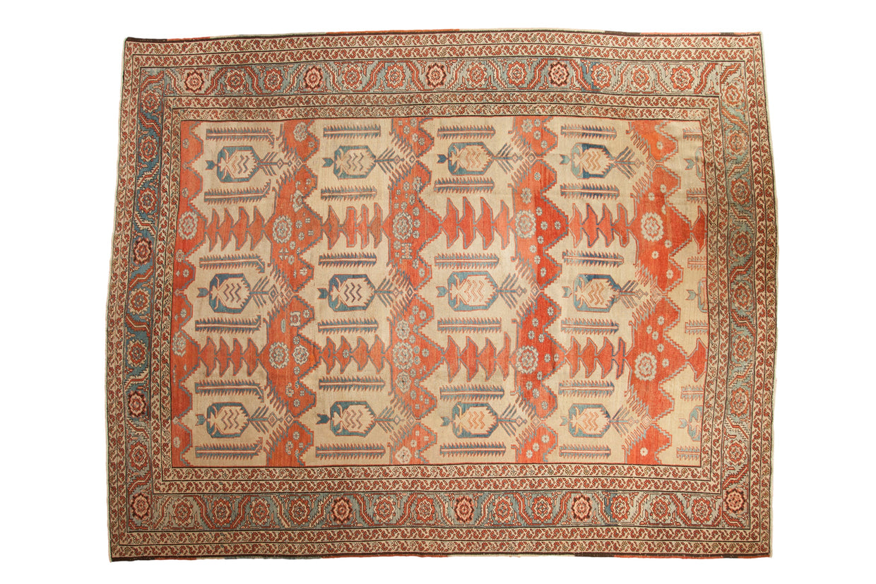 11x13.5 Antique Bakshaish Carpet