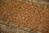 Close view of a Malayer rug's serrated plant design and colorful barber pole style inner border.