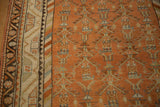 Colorful barber pole style border alongside the geometric plant designs on a vintage Malayer rug.