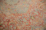 Distressed vintage Meshed carpet with sprawling floral vines in cherry red, powder blue, and saffron.