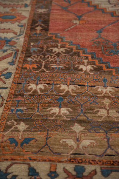 Antique Bakshaish Carpet // ONH Item: ee005135, Image 11