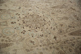 Worn pile texture of vintage Tabriz rug with pale blue and brown bird medallions.