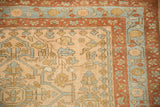 Meandering vine and palmette motifs in the rust and sky blue borders of the vintage Mehriban rug.