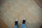Alternating boteh motifs in pale terra cotta and powder blue on a distressed Persian rug.