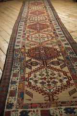 Full length perspective of a vintage Serab runner with a central column of medallions.