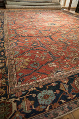 Distinctive Samovar turtle and rare serpent borders of a hand-knotted antique Persian Heriz carpet.
