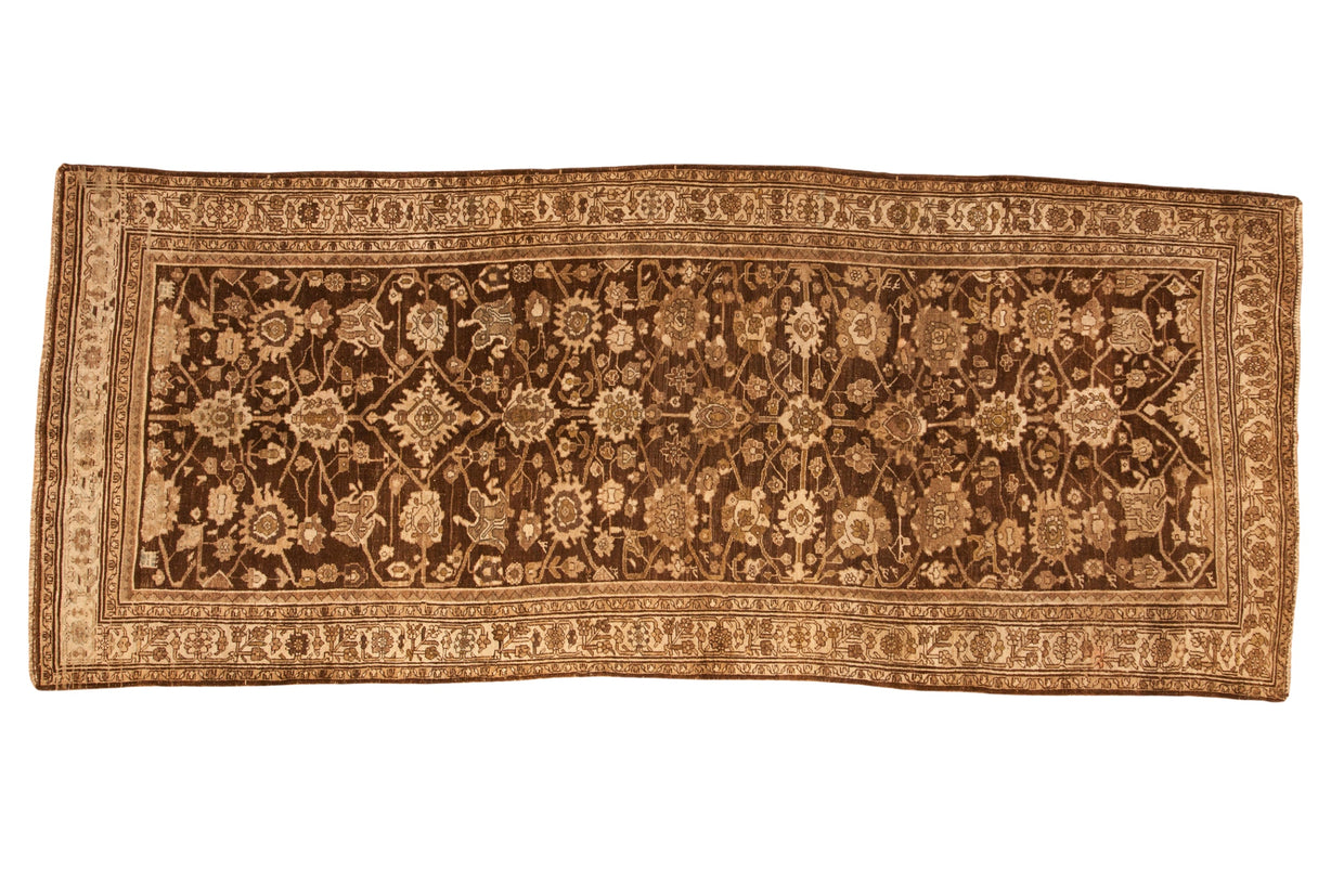 Antique Bijar rug runner with allover palmettes and animals in distressed dark brown and antique ivory.