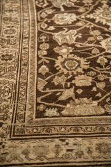 Chocolate brown field with palmettes next to the complex ivory borders of a distressed Persian rug.