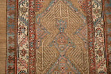 Finned vine medallion and reciprocating pawn border on an antique Persian Serab runner.