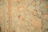 Detail of the pawn design border and scrolled vines on a distressed Tabriz carpet.