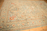Expressive boteh and pawn motifs along the border of a vintage distressed Tabriz carpet.