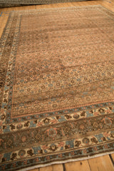 Herati field meets the complex turtle samovar border on a distressed hand-knotted Bijar carpet.