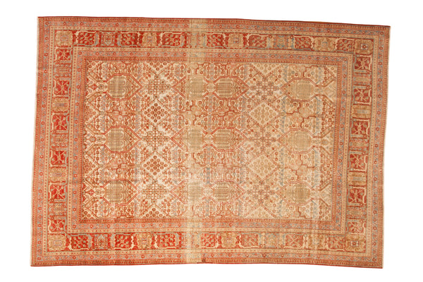 7x10 Vintage Distressed Joshegan Carpet