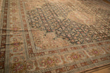Angled view of a vintage Sivas carpet's blush corner spandrel and charcoal Herati field.