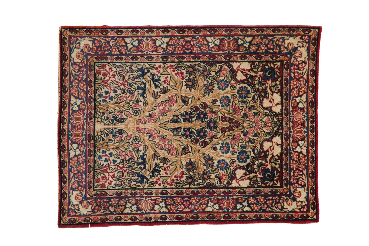 Antique Kerman tree of life rug: cochineal red, navy floral pattern, 2'1