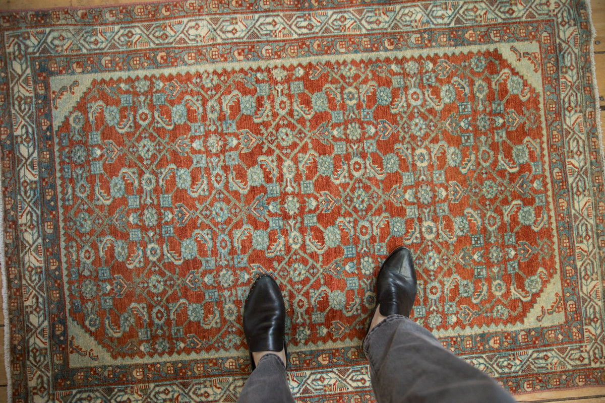 Hand-knotted vintage Hamadan rug displaying distressed rust red and blue Herati pattern.