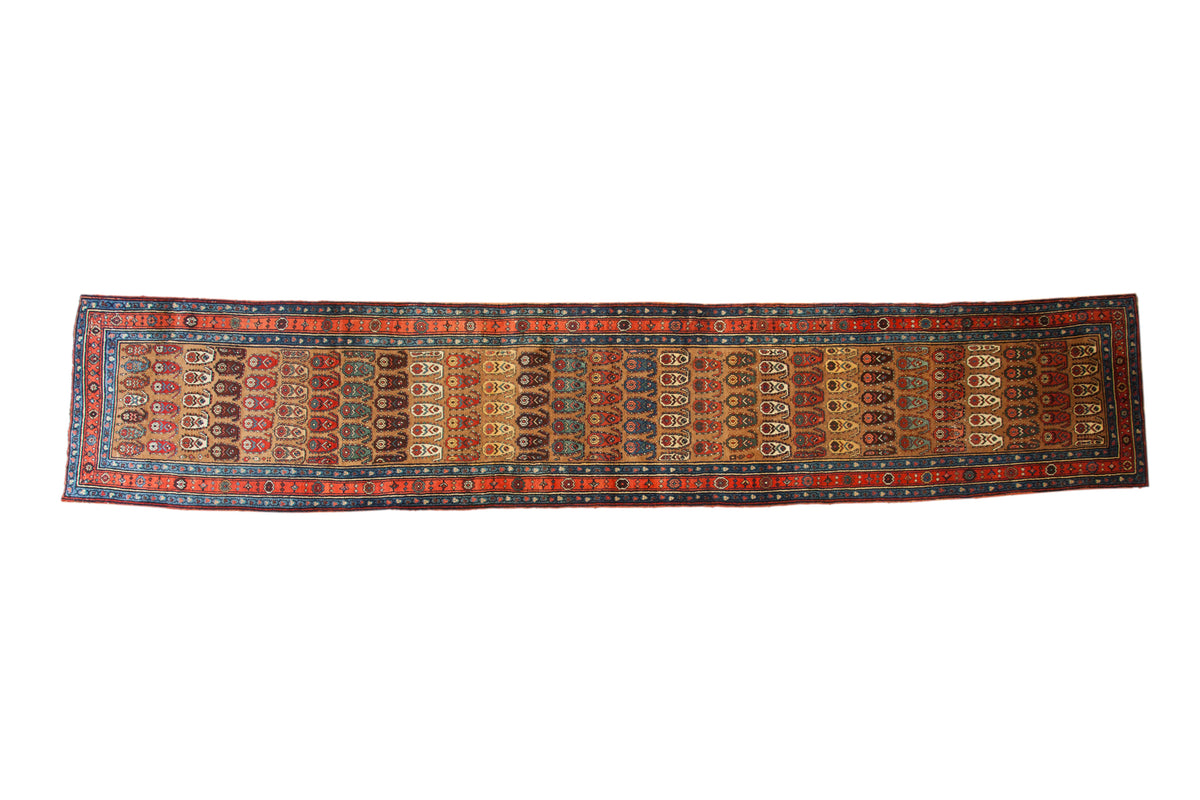 Antique Persian Bijar runner featuring an allover rainbow boteh pattern with seed motifs.