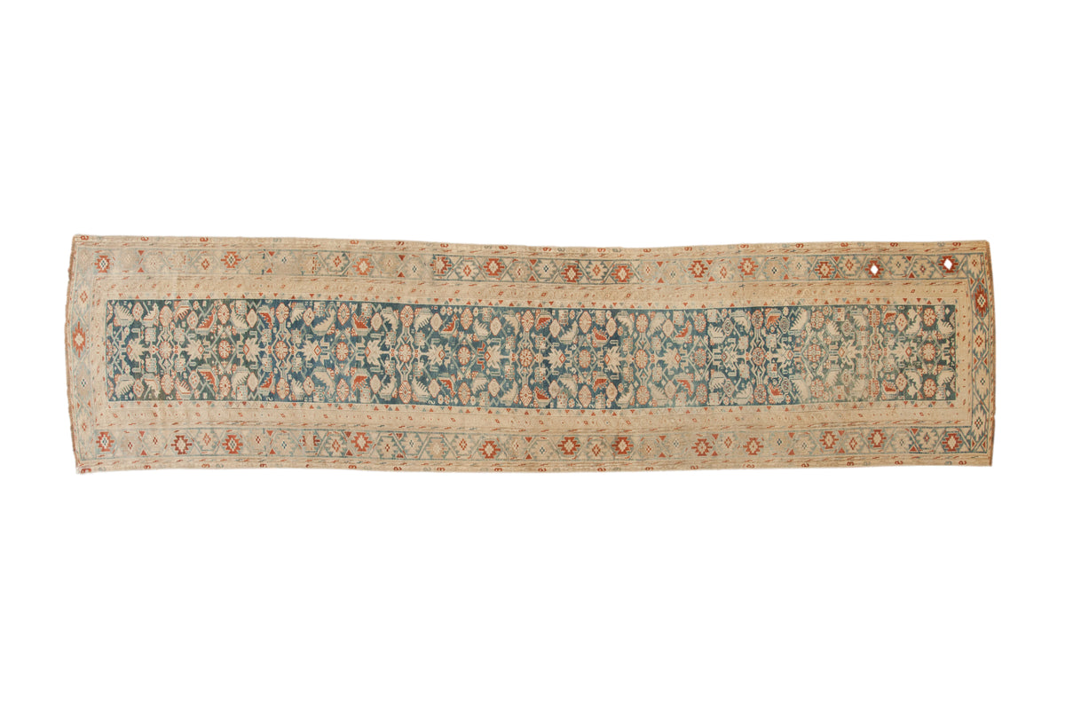 Vintage distressed Malayer runner rug, Herati pattern with birds, serpents, teal, ivory, red.