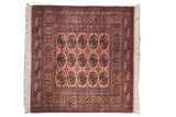 Vintage fine Bokhara square rug, dusty rose field, detailed geometric gul medallions, 3'11