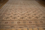 Distressed dusty rose Turkmen carpet with geometric elephant footprint gul motifs and brown borders.