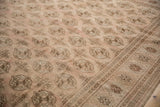 Distressed Turkmen rug detail: faded elephant footprint guls and intricate brown border.